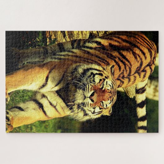 Tiger Puzzle (Horizontal)