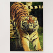 Tiger Puzzle (Vertical)