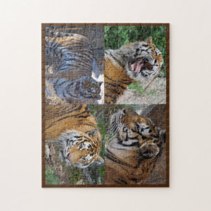 Tiger Puzzle