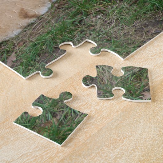 Tiger Puzzle (Côté)
