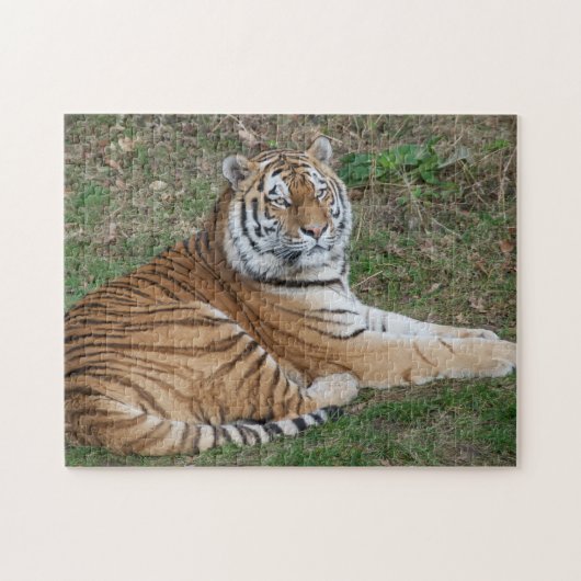 Tiger Puzzle (Horizontal)