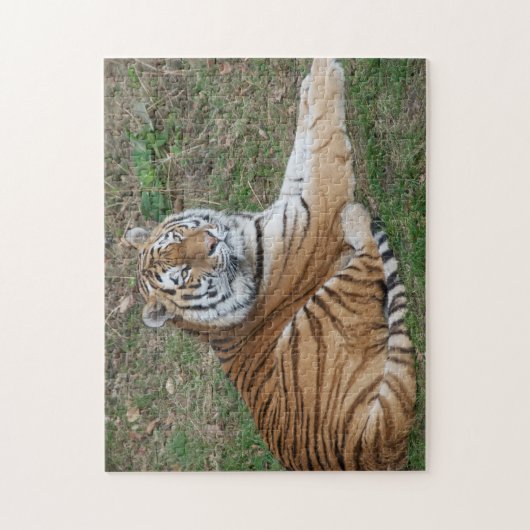 Tiger Puzzle (Vertical)