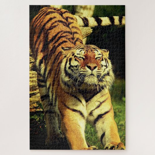 Tiger Puzzle Legpuzzel (Verticaal)