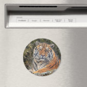 Tiger Royal 3" magneet (Insitu (Vaatwasser))