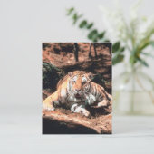 Tiger rust briefkaart (Staand voorkant)