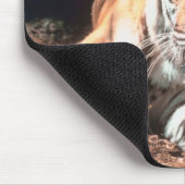Tiger rust muismat (Hoek)