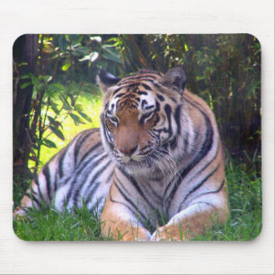 Tiger rust muismat