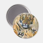 Tiger,Seeking_ Magneet (Voorkant / Achterkant)