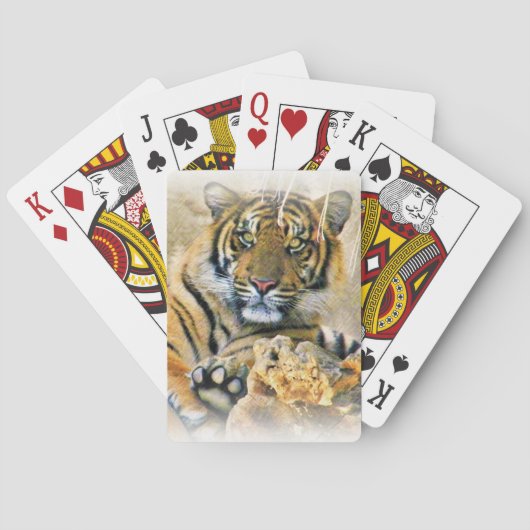 Tiger,Seeking_ Speelkaarten (Achterkant)