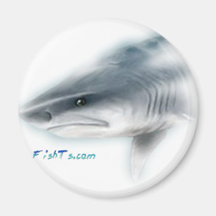 Tiger Shark Head Magneet