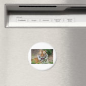 Tiger Smile Magneet (Insitu (Vaatwasser))