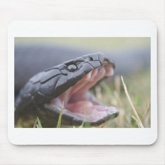 Tiger Snake Muismat (Voorkant)