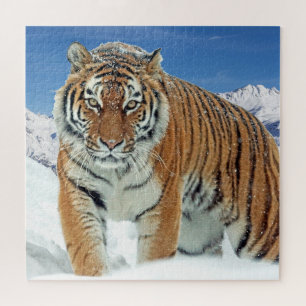 Tiger Snow Mountains Animal Trendy Foto Legpuzzel