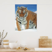 Tiger Snow Mountains Nature Poster photo hiver (Cuisine)