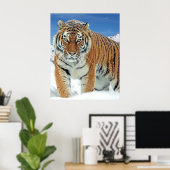 Tiger Snow Mountains Nature Poster photo hiver (Bureau à domicile)