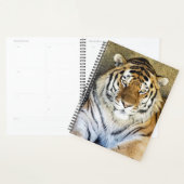 Tiger Spiral Planificateur hebdomadaire/mensuel (Devant avec enveloppe)