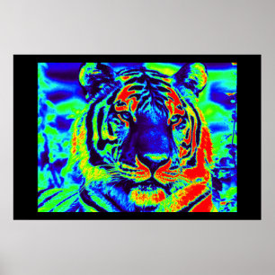 Tiger Spirit Poster