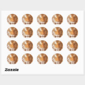 Tiger - Sticker (Feuille)