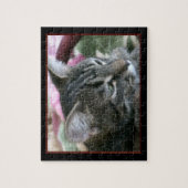 Tiger Strier Kitty Jigsaw Puzzle (Vertical)