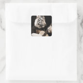 Tiger Strings – Elegant Musical Art Vierkante Sticker (Tas)