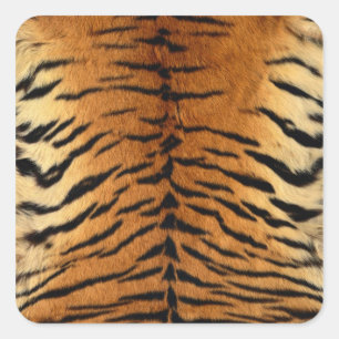 Tiger Stripe Fur Print Vierkante Sticker