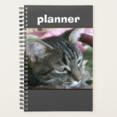 Tiger Stripe Kat Planner (Voorkant)