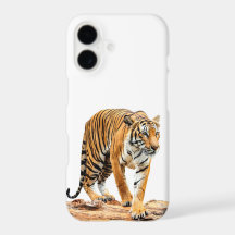 Tiger Sur Un Journal