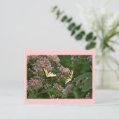 Tiger Swallowtail Butterflies over Joe Pye Weed Briefkaart (Staand voorkant)