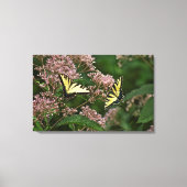 Tiger Swallowtail Butterflies over Joe Pye Weed Canvas Afdruk (Voorkant)