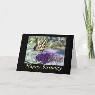 Tiger Swallowtail Butterfly Birthday Kaart
