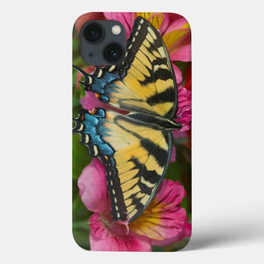 Tiger Swallowtail Butterfly Case-Mate iPhone Case (Achterkant)