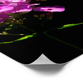 Tiger Swallowtail Butterfly en Wilde Phlox Poster (Hoek)