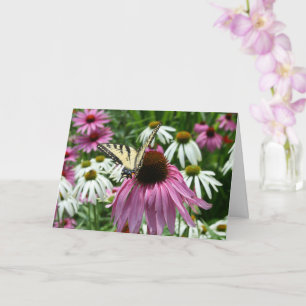Tiger Swallowtail Butterfly Flower Wenskaart Kaart