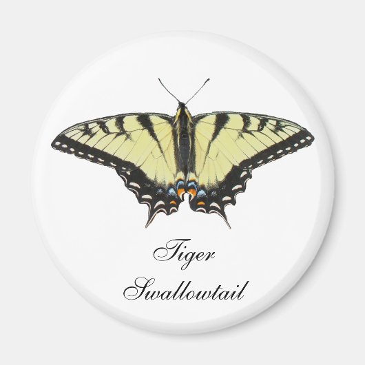 Tiger Swallowtail Butterfly Magneet (Voorkant)