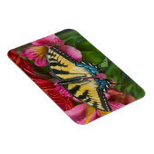 Tiger Swallowtail Butterfly Magneet (Rechterzijde)