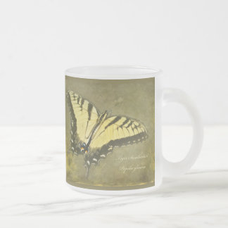 Tiger Swallowtail Butterfly - Papilio glaucus Matglas Koffiemok