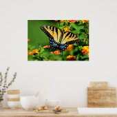 Tiger Swallowtail Butterfly Poster (Keuken)