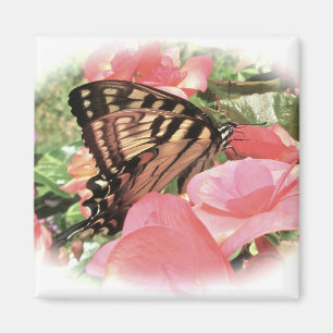 Tiger Swallowtail Magnet Magneet