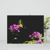 Tiger Swallowtail op Phlox (Staand voorkant)