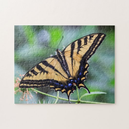 Tiger Swallowtail papillon Puzzle (Horizontal)