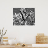 Tiger Swallowtail Poster (Keuken)