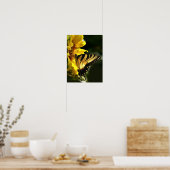 Tiger Swallowtail Poster (Keuken)