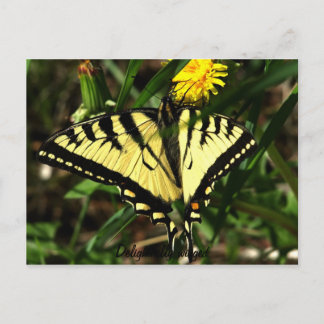 Tiger Swallowtail-wingel Briefkaart