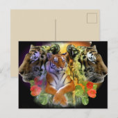 Tiger Symmetry zoo Briefkaart (Voorkant / Achterkant)