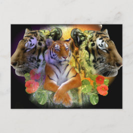 Tiger Symmetry zoo Briefkaart