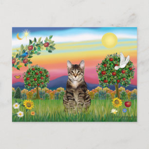 Tiger Tabby Cat 1 - Bright Country Briefkaart