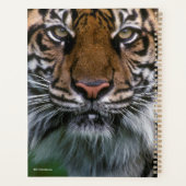 Tiger tête et visage (Dos)