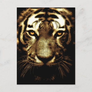 Tiger Visage animal sauvage Photo carte postale ve