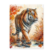 Tiger Walking in de herfst Waterverf