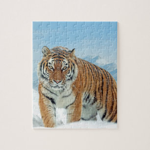 Tiger Winter Snow Mountains Animal Foto Legpuzzel